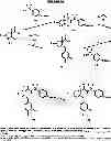 Fig. 04 - Cyclic amine derivatives as EPreceptor agonists