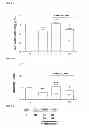 Fig. 09 - Use of melatonin for treating and/or preventing mucositis