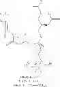 Fig. 46 - PHOSPHOLIPID-DETERGENT CONJUGATES AND USES THEREOF
