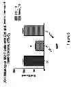 Fig. 08 - METHODS OF SCREENING COMPOUNDS THAT ARE CYTOTOXIC TO TUMOR CELLS AND METHODS OF TREATING TUMOR CELLS USING SUCH COMPOUND