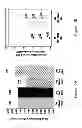 Fig. 17 - RASAGILINE FOR PARKINSON'S DISEASE MODIFICATION
