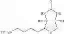 Fig. 45 - Orally bioavailable lipid-based constructs