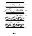 Fig. 02 - METHOD