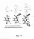 Fig. 11 - Ladder polymers with intrinsic microporosity and process for production thereof