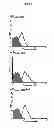 Fig. 07 - Single chain antibodies that specifically bind to the activated state of the platelet integrin receptor GP IIb/IIIa