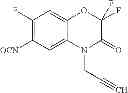 Fig. 29 - Herbicidal benzoxazinones