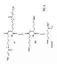 Fig. 02 - Catalysis of diketopiperazine synthesis