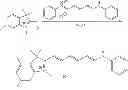 Fig. 89 - Halogenated compounds for Photodynamic therapy