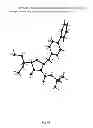 Fig. 07 - Processes for producing NEP inhibitors or prodrugs thereof