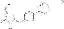 Fig. 77 - Processes for producing NEP inhibitors or prodrugs thereof