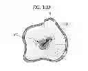 Fig. 14 - Endoscope system and control method thereof