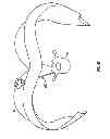 Fig. 16 - Minimally invasive retractor and methods of use
