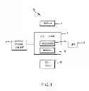 Fig. 02 - Representative emulation of organ behavior