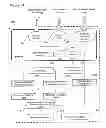 Fig. 09 - Method and apparatus for detecting change in health status