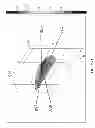 Fig. 74 - Extracorporeal pressure shock wave devices with multiple reflectors and methods for using these devices