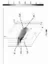 Fig. 78 - Extracorporeal pressure shock wave devices with multiple reflectors and methods for using these devices