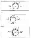 Fig. 02 - Knee support