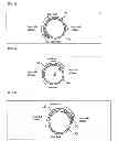 Fig. 03 - Knee support
