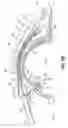 Fig. 04 - Method and apparatus for reducing intraocular pressure of an eye