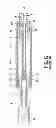Fig. 20 - Needle protecting module of an injecting device and an injection device with a needle protecting module