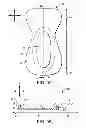 Fig. 09 - Body adhering absorbent article