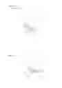 Fig. 05 - Absorbent article