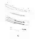 Fig. 02 - Liquid catheter, particularly a urinary catheter, method and delivery device