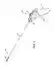 Fig. 02 - Percutaneous Instrument with Tapered Shaft