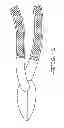 Fig. 19 - Orthopaedic Device
