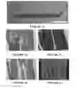Fig. 02 - System and method for forming bone, ligament, and bone-ligament constructs