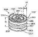 Fig. 01 - Disk fusion implant