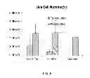 Fig. 07 - Cartilage mosaic compositions and methods