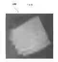 Fig. 13 - Cartilage mosaic compositions and methods