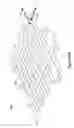 Fig. 02 - STACKED PLANAR SHEET TISSUE ENGINEERING SCAFFOLDS WITH 3D STRUCTURAL ORDER