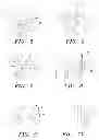 Fig. 04 - Surgical guide and method
