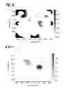 Fig. 08 - Compensated crosswell tomography methods and systems