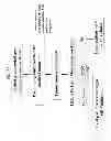 Fig. 79 - MOLECULAR PROFILING OF TUMORS