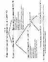Fig. 80 - MOLECULAR PROFILING OF TUMORS