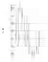 Fig. 46 - Apparatus and method for processing a multimedia commerce service