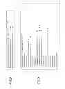 Fig. 09 - INFORMATION PROCESSING APPARATUS, INFORMATION MANAGING METHOD AND PROGRAM