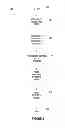 Fig. 04 - System and method for providing a user-loadable stored value card