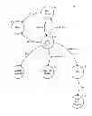 Fig. 01 - Dynamic graph system for a semantic database