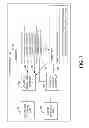 Fig. 08 - ON-DEMAND NORMALIZATION OF DATA