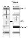 Fig. 13 - Method and apparatus for stack management