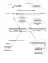 Fig. 07 - Computing infrastructure for configurable-quality random data