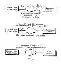 Fig. 03 - Providing near real-time device representation to applications and services