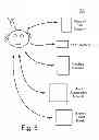 Fig. 08 - Remote control app for smart phones