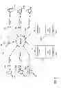 Fig. 02 - PORTABLE AND CONTEXT SENSITIVE AVATAR METHODS AND SYSTEMS