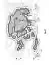 Fig. 16 - Systems and Methods for Collecting and Representing Attributes Related to Damage in a Geographic Area