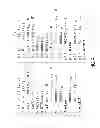 Fig. 04 - Distributed implementation of sequential code that includes a future
